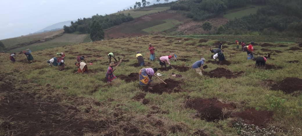 Coffee farmer at work
